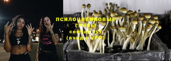 бутират Армянск