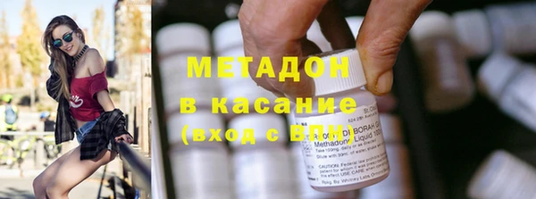 шишки Арсеньев