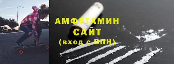 шишки Арсеньев