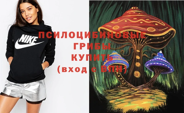 шишки Арсеньев