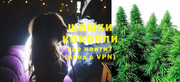 шишки Арсеньев